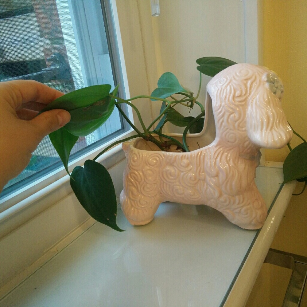 Rare Vintage 1950s Mid Century Planter - Picture 6 of 6